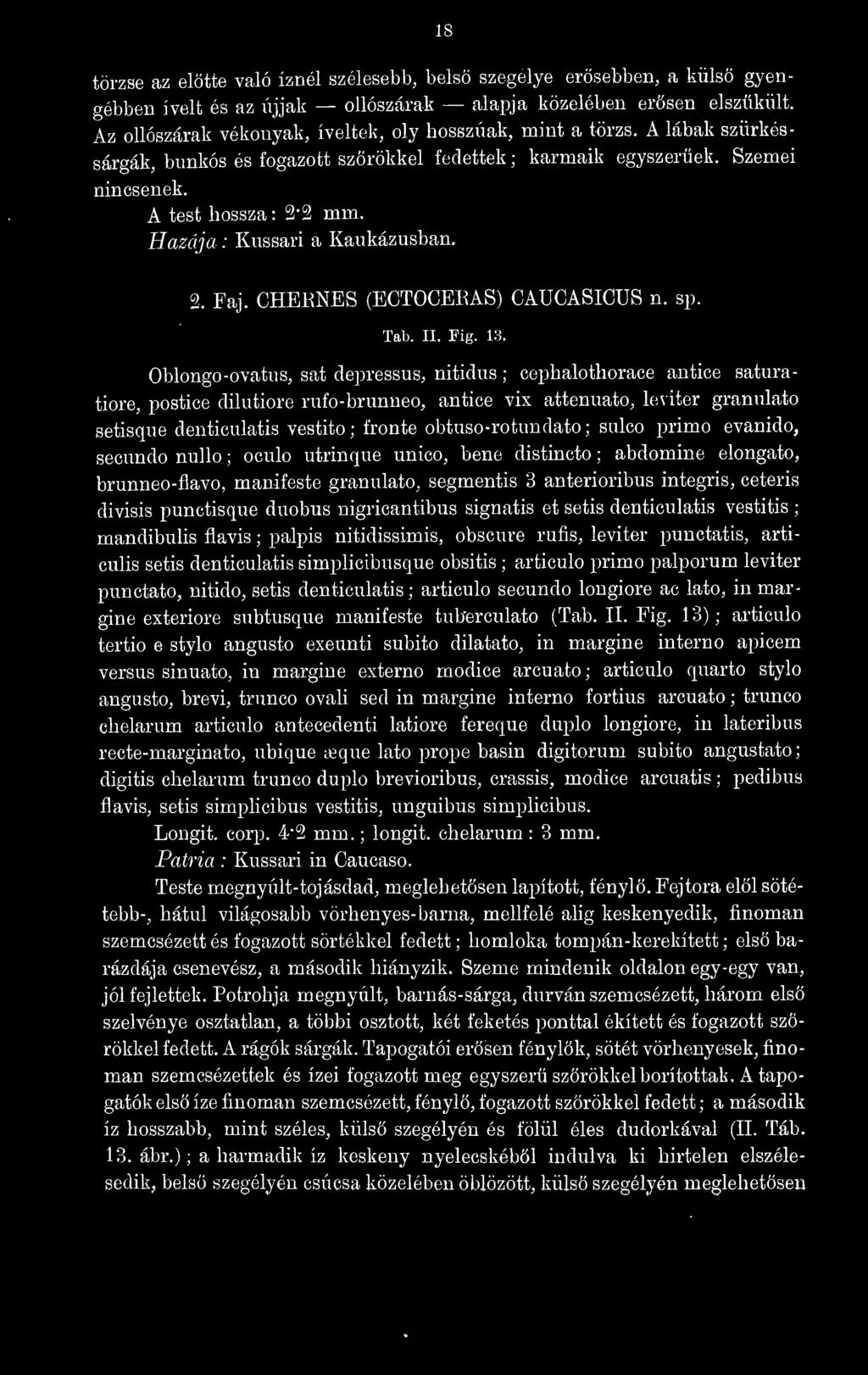 Hazája : Knssari a Kaukázusban. 2. Faj. CHERNES (ECTOCEEAS) CAUCASIGUS n. sp. Tab. II. Fig. VS.