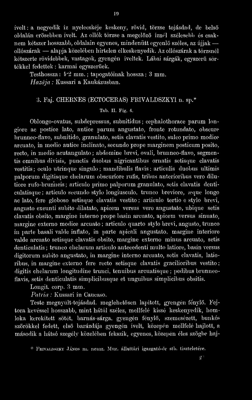 Az ollószárak a törzsnél kétszerte rövidebbek, vastagok, gyengén íveltek. Lábai sárgák, egyszer sörtékkel fedettek ; karmai egyszerek. Testhoasza: 4*!:2 mm. ; Hazája : Kussari a Kaukázusban.