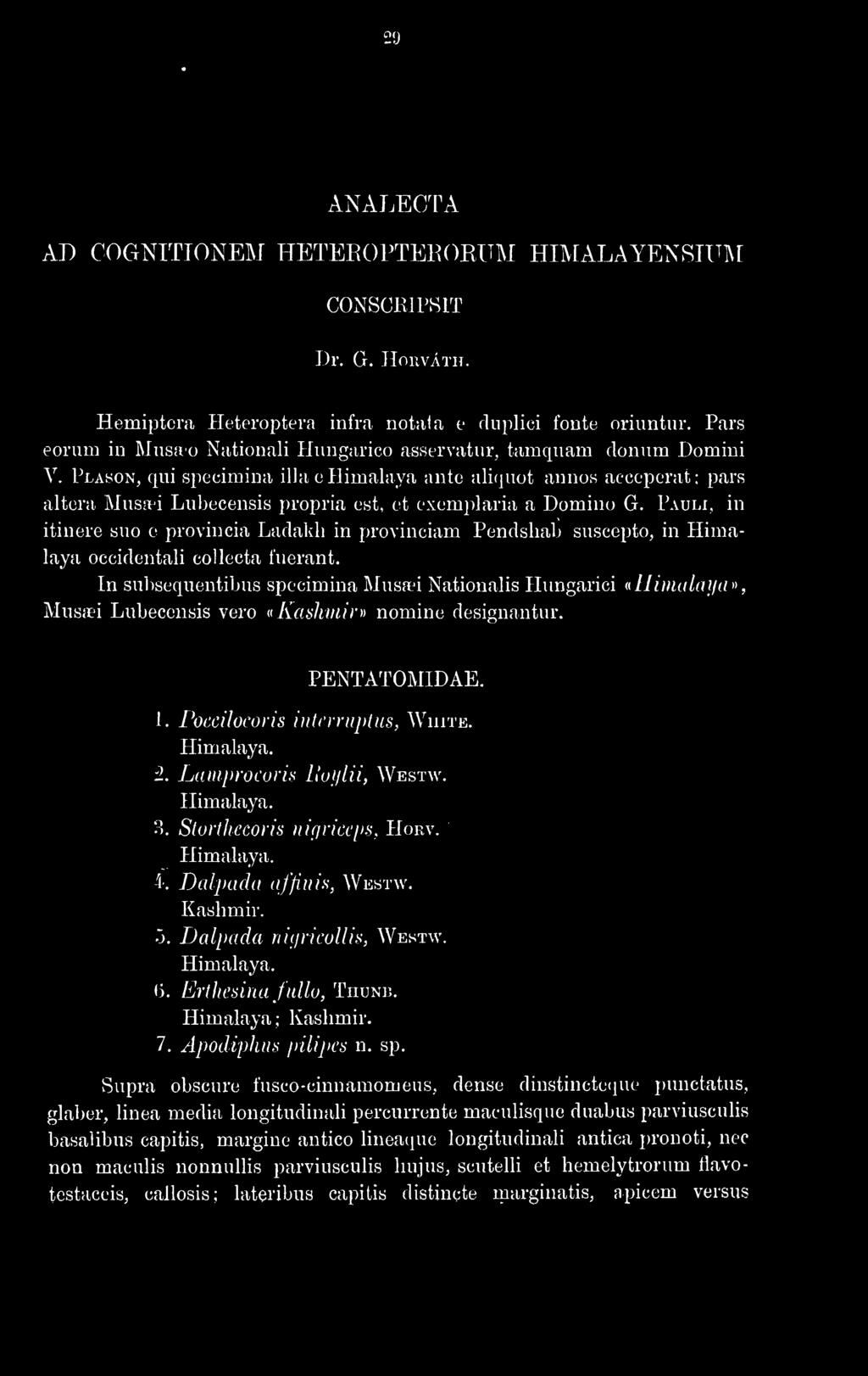 In subsequentibus specimina Musœi Nationalis Hungarici «Himalaya», Musfti Lubecensis vero n Kashmir» nomine designantur. PENTAT0M1DAE. 1. Poecilocoris i)i((rruptus, White. Himalaya. 3.