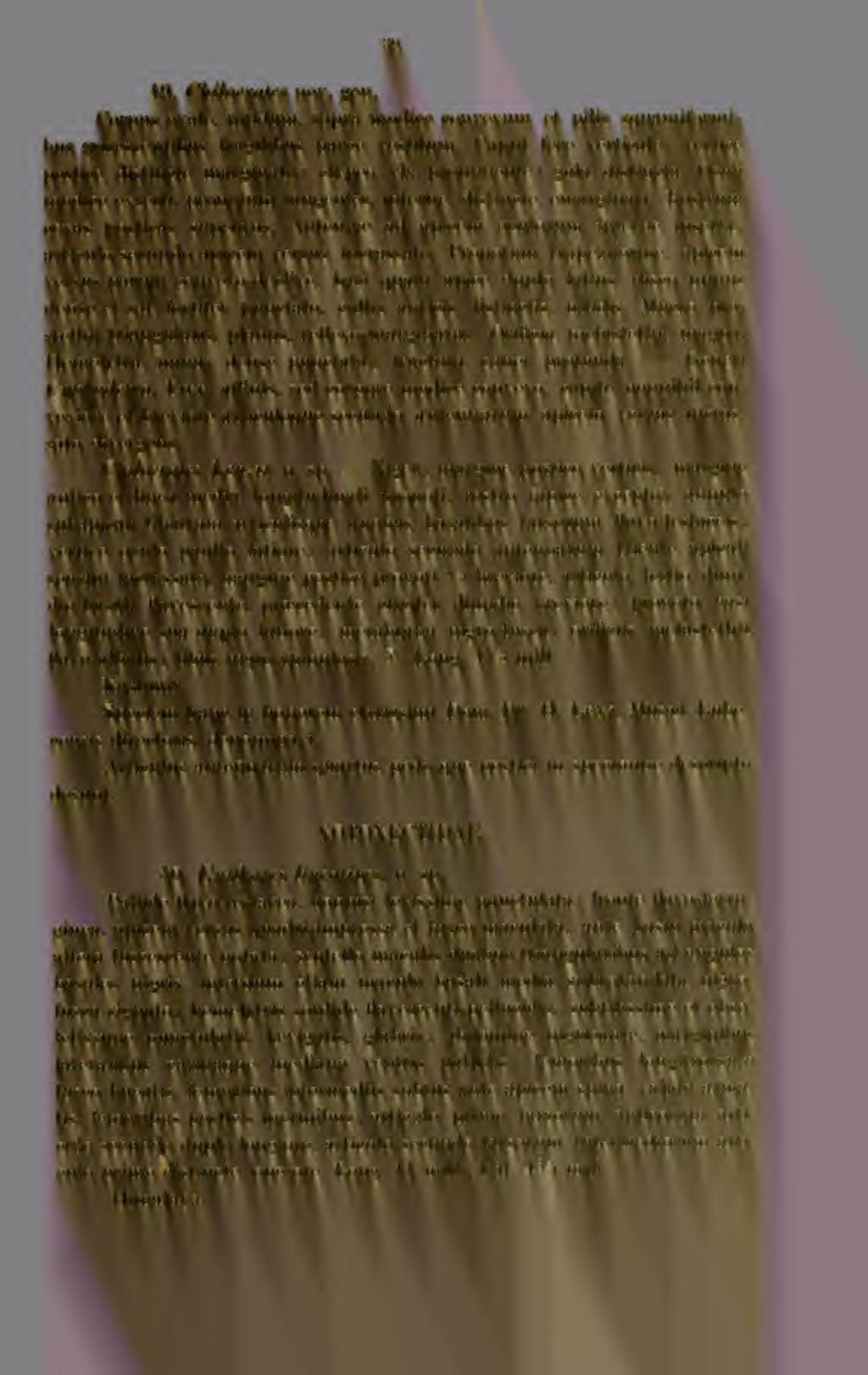 H9 40. Chilocrates nov. gen. Corpus ovale, nitidiim, supra modice convexum et pilis squamiformibus grisescentibus fragilibus parce vestitum.