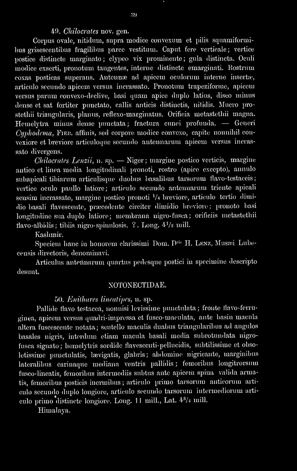 Kostrum coxas posticas superans. Antennae ad apicem oculorum interne insertie, articulo secundo apicem versus incrassato.