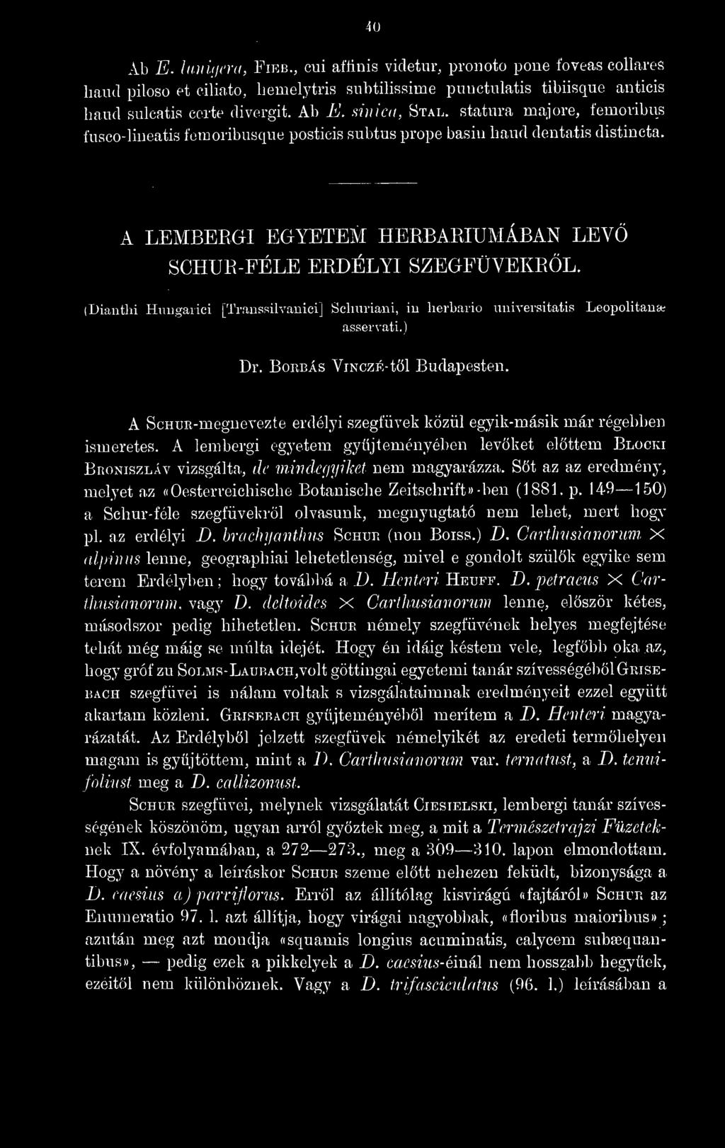 (Diauthi Huiigaiici [Traussilvauiei Scluxriani, iu lierbario uuiversitatis Leopolitana; asaervati.) Dr.