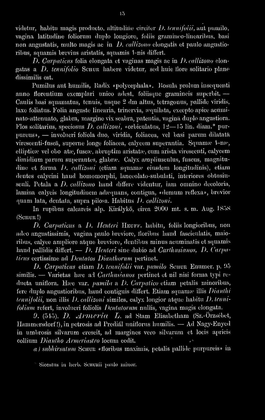 callizoiio clongatis et paiilo angiistioribiis; squamis brevius aristatis, scpiamis 4-nis differt. D. Carpal icus folia elongata et vaginas magis ac in D. callizono elongatas a D.