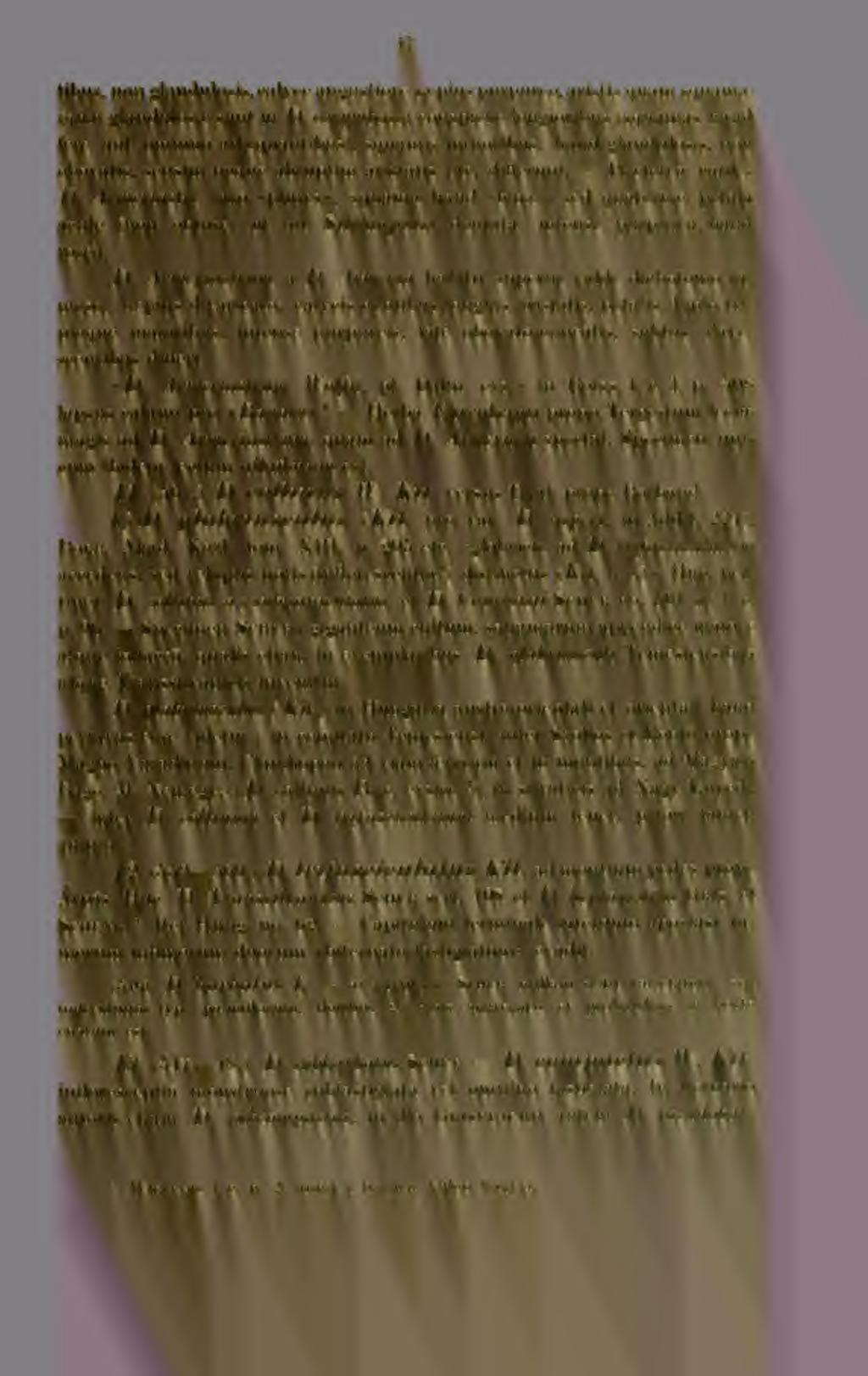 47 tibus, non glandulonis, calyce angustiore sa-pius pnrpureo, aristis quam squama:' (quip glandulosie sunt in I), conjuihoso) conspicue longioribus (s([uamas haiul fere aut omnino adu'quantibus),