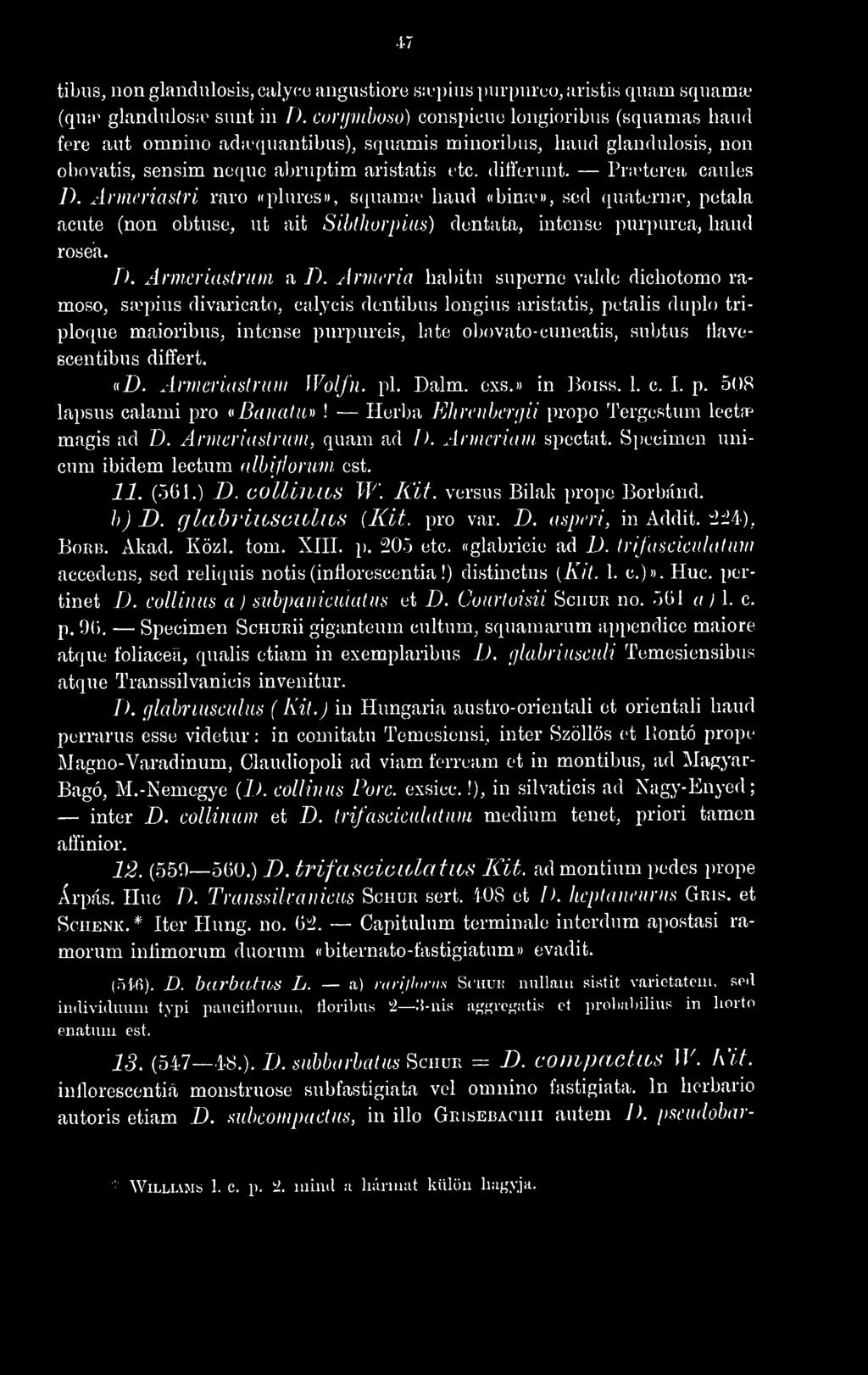 Armcriaslri raro «phires»), scpiama' baud «bina-», sed (luaternie, pctala acute (non obtuse, ut ait Sihthorpiiis) dentata, intense puri)urea, baud rosea. D. Armcriastrum a /).