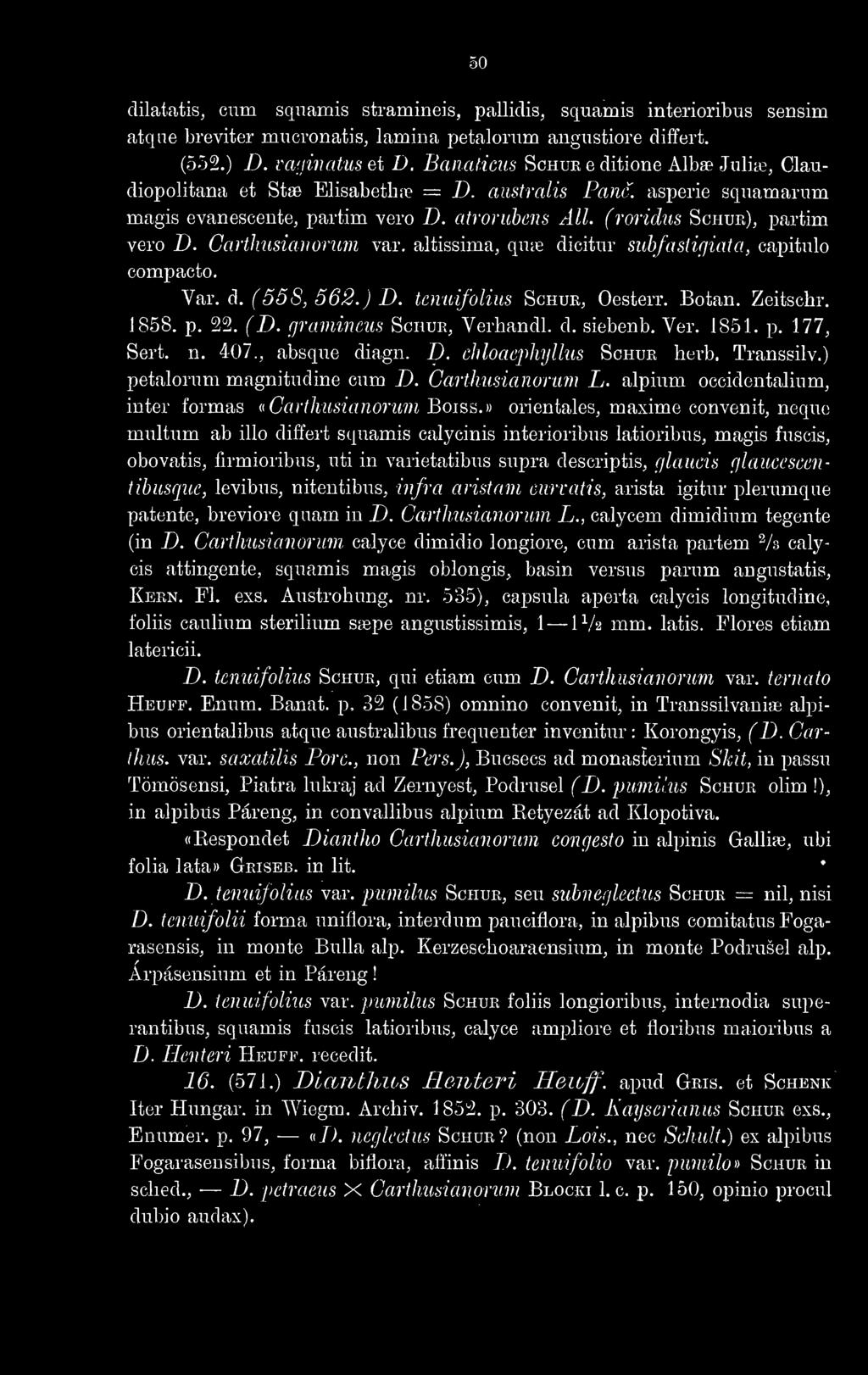 » orientales, maxime convenit, neque multum ab illo differt squamis calycinis interioribus latioribus, magis fuscis, obovatis, firmioribus, uti in varietatibus supra descriptis, glaucis