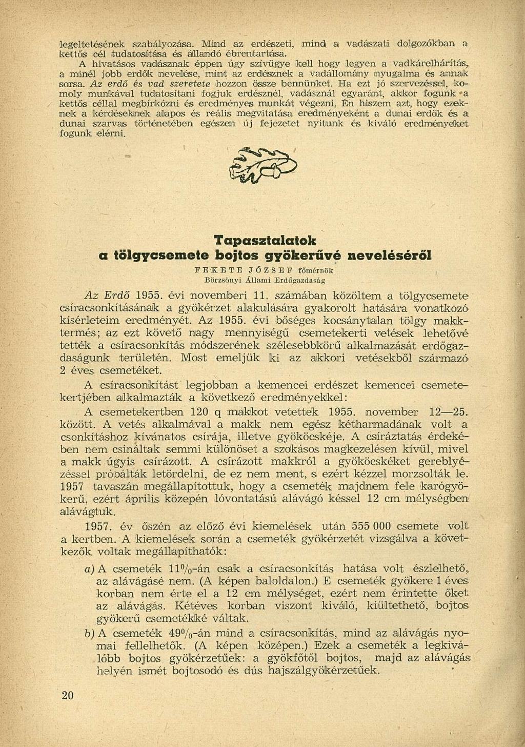 legeltetésének szabályozása. Mind az erdészeti, mindi a vadászati dolgozókban a kettős cél tudatosítása és állandó ébrentartása.