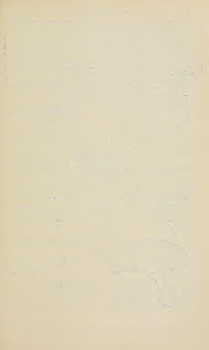 III.