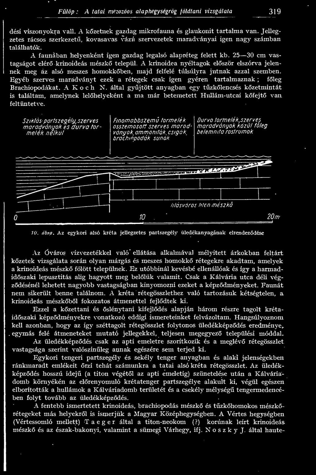25 30 cm vastagságot elér krinoideás mészk települ. A krinoidea nyéltagok elször elszórva jelennek meg az alsó meszes homokkben, majd felfelé túlsúlyra jutnak azzal szemben.