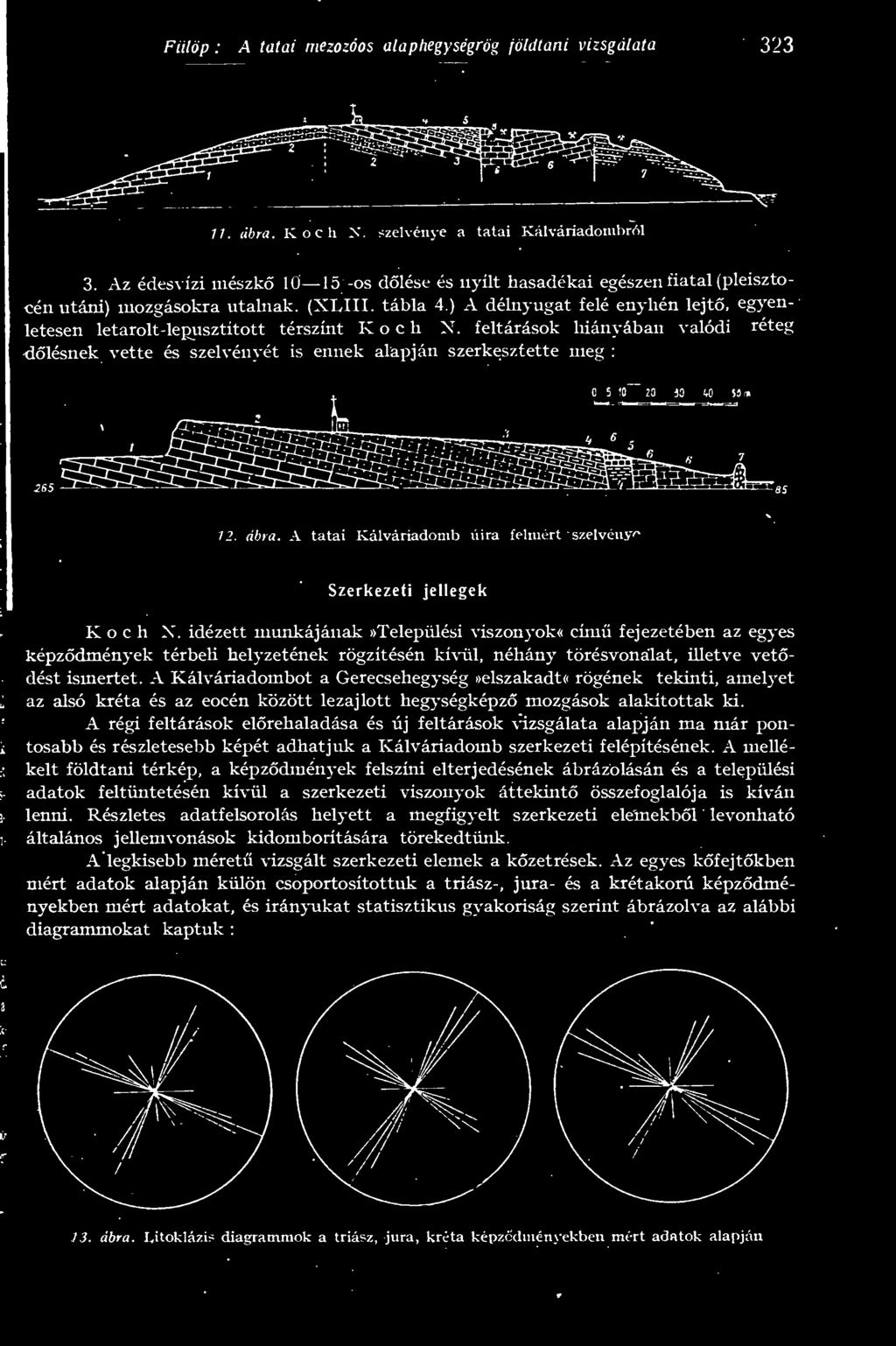 A tatai Kálváriadomb úira felniért szelvény'' Szerkezeti jellegek Kocli X.