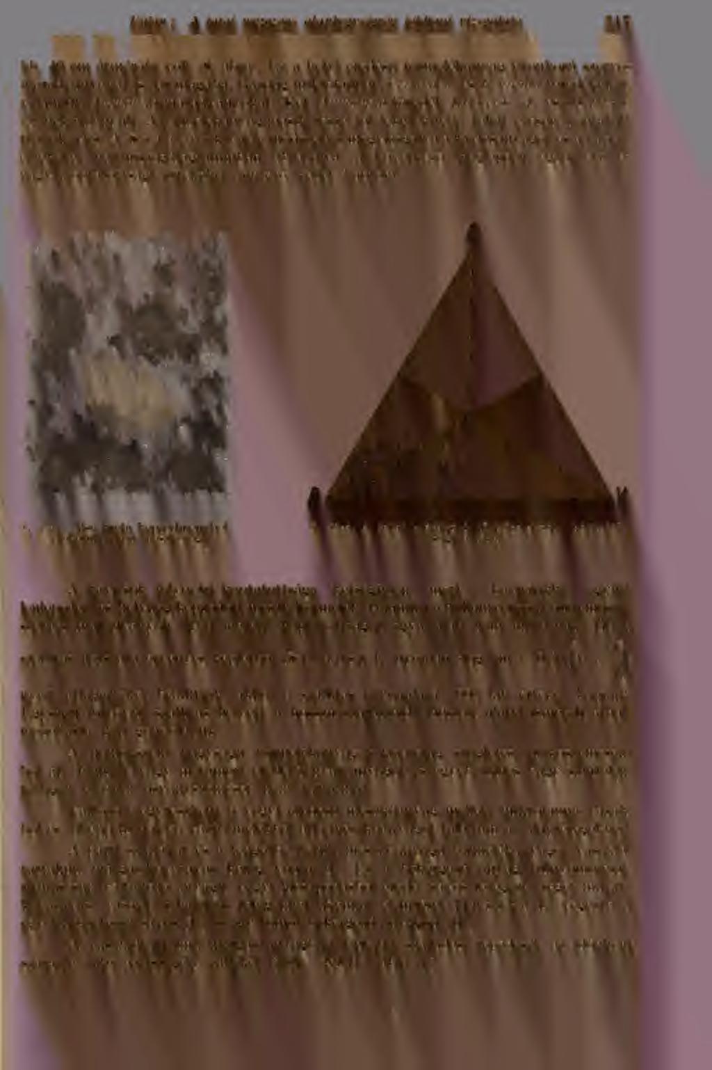 Fiilöp : A tatai mezozóos alapliegységrög földtani vizsgálata 317 kb. 40 cm átmérj volt (8. ábra). Ez a helyi eredés törmelékanyag titonkorú szerves maradványokat is zár magába.
