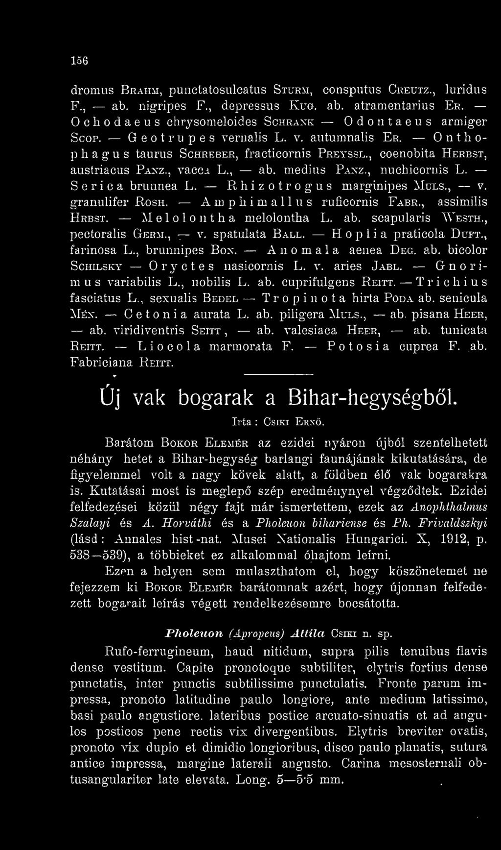Rhizotrogus marginipes Muls., v. granulifer Rosh. Ainphiniallus ruficornis Fabr., assimilis Hrbst. M e 1 o 1 11 1 h a melolontha L. ab. scapiüaris "We.sth., pectoralis Germ., v. spatulata Ball.