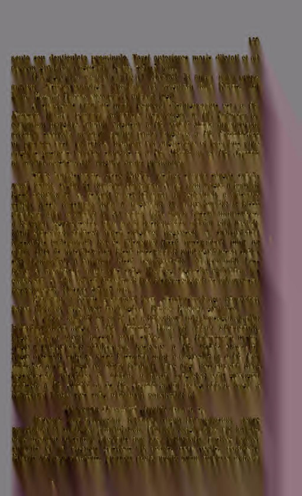 pronoto a 159 acuto seu denticulato idromiimlo. Társi anteriores maris clilatati et ad apicem gradatim angiistati. Long. 4'5 5 mm, Hungária c e n t r.-o ri e n t.