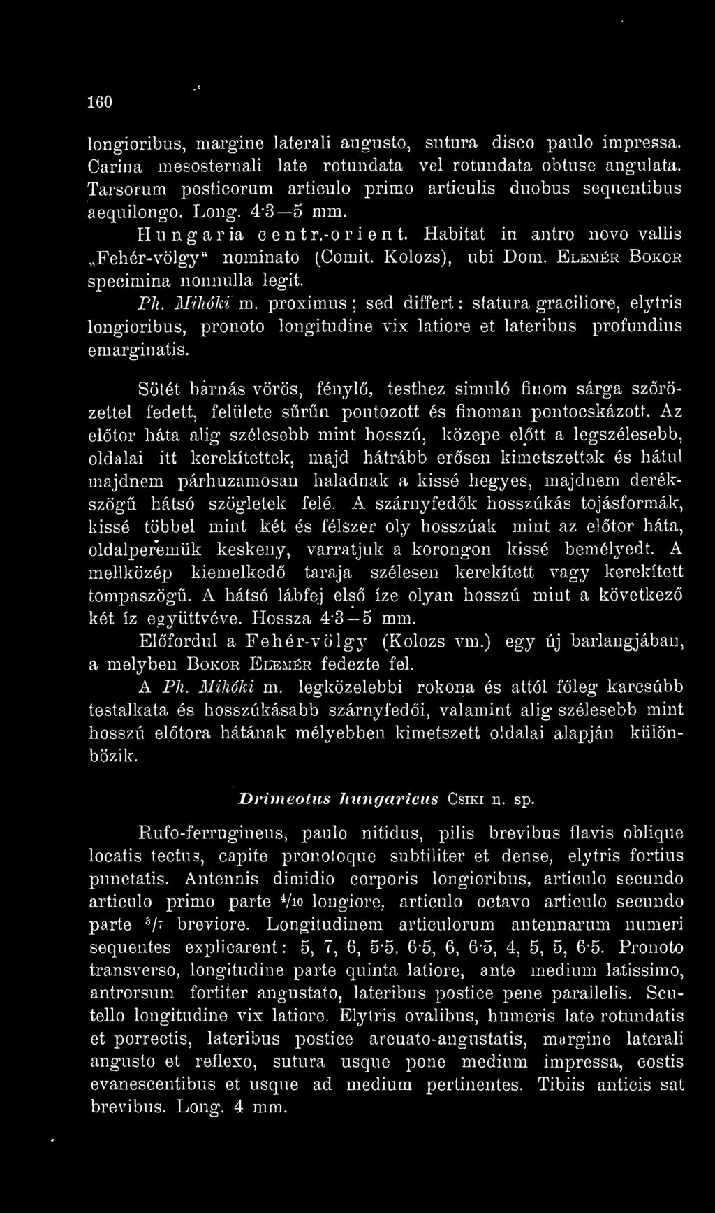 Sötét barnás vörös, fényl, testhez simuló finom sárga szrözettél fedett, felülete srti pontozott és finoman pontocskázott.