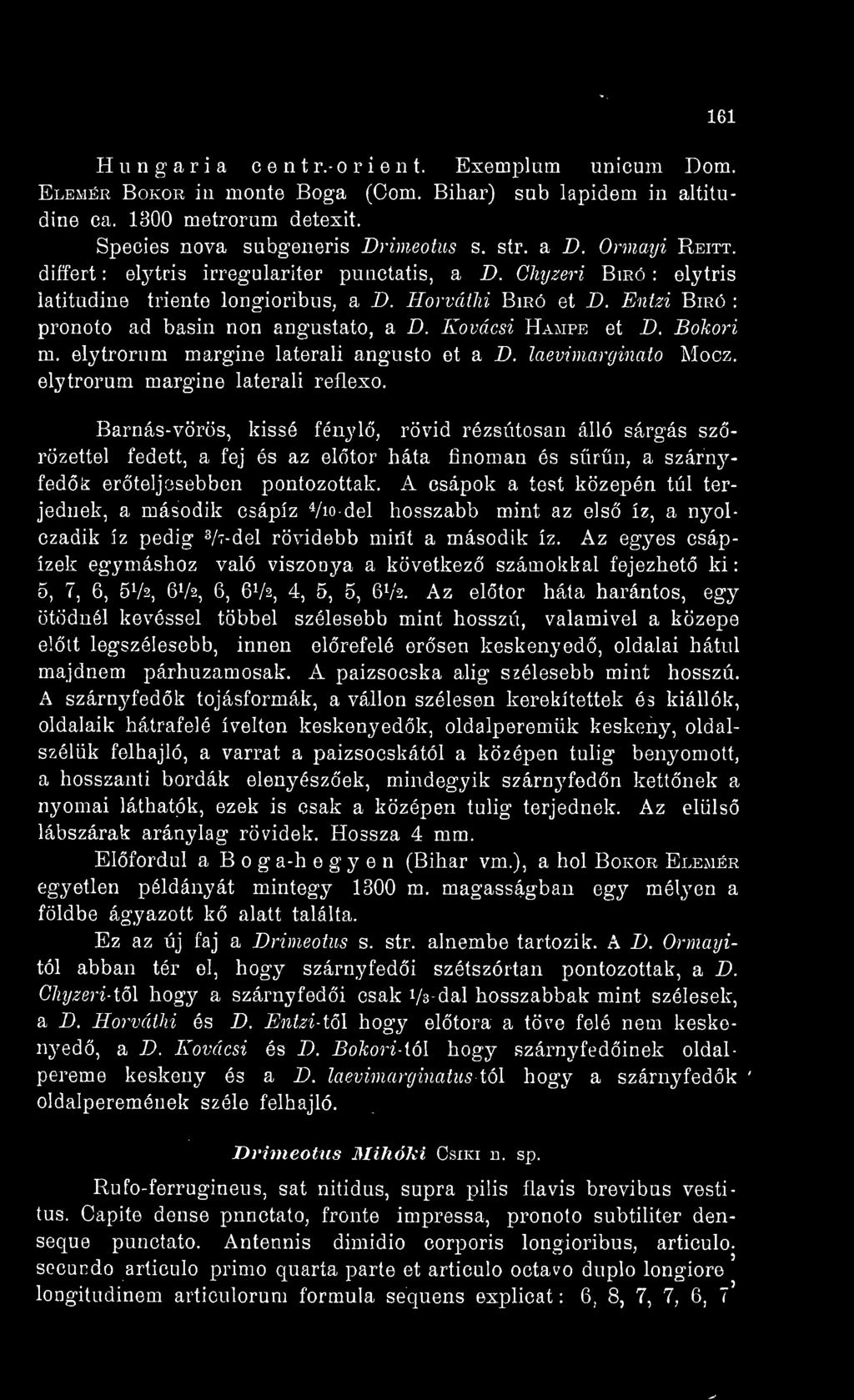 Kovácsi Hampe et D. Bokori m. elytrorum margine laterali angusto et a D. laevimarginato Mocz. elytrorum margine laterali reflexo.