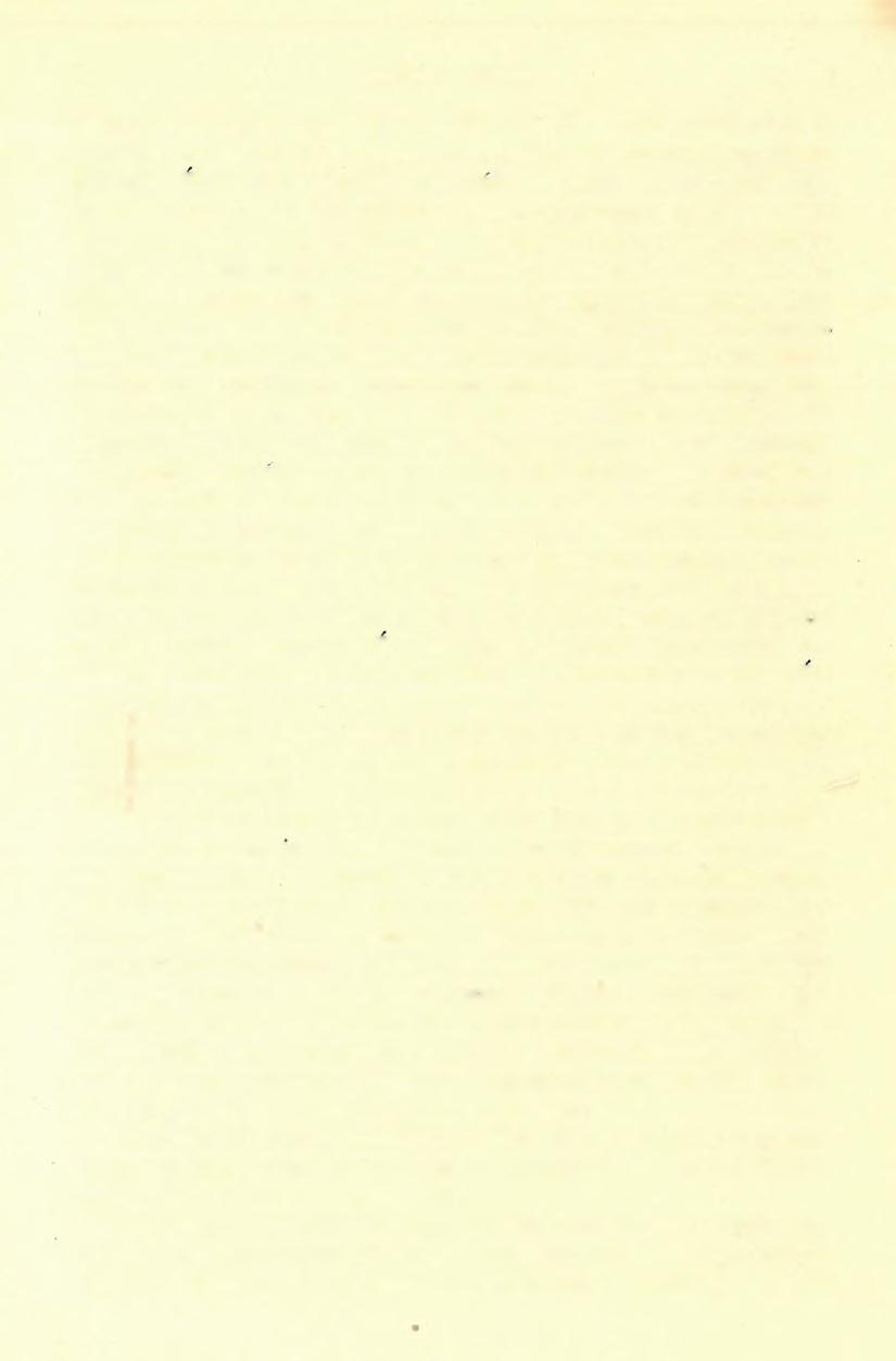 (4) FELVÉTELI JELENTÉS. 59 lesznek, s a melyek a mészkövek feküjét képezik.