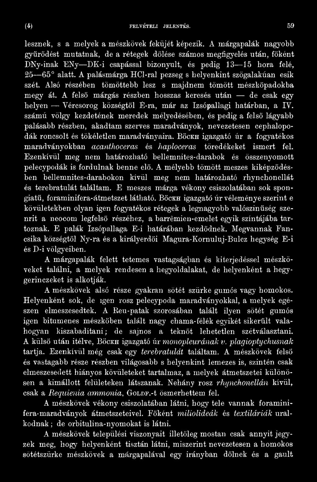 számú völgy kezdetének meredek mélyedésében, és pedig a felső lágyabb palásabb részben, akadtam szerves maradványok, nevezetesén cephalopodák roncsolt és tökéletlen maradványaira.