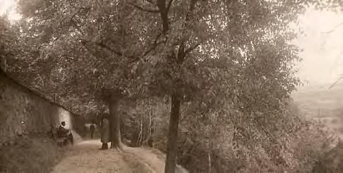 758) má parc. č. 3027 Promenáda popri hradbách, stav v 1.polovici 20.