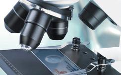 Kutya PCR Adenovírus (váladékok) Anaplasma phagocytophilum (vér) Babesia (vér, kullancs) Borrelia (ízületi nedv, liquor, bőr) Chlamydophila (kötőhártya-váladék) Dirofilaria immitis és D.