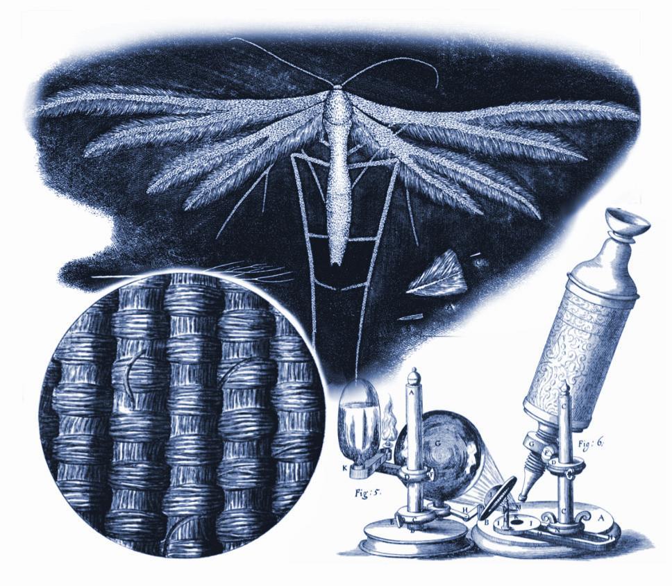 1.1. Fényelhajlás-korlátozott felbontású fénymikroszkópia A természettudományos érdeklődés kikényszerítette, a XVII.