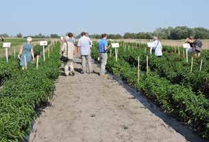 A területen alkalmazott részletes tápanyag utánpótlásról és haszonnal alkalmazható biostimulátorokról is részletes információkhoz juthattak az érdeklődők.