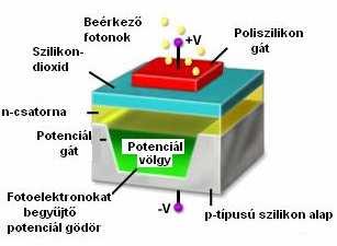 Technology, Molecular ExpressionsTM honlapja (2006.11.12.