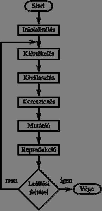 A genetikus algoritmus működése a következő fő lépésekből áll.