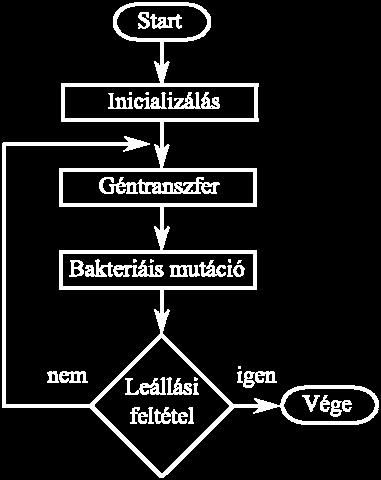 Ezután mindkét csoportból választ egy-egy baktériumot: a jó csoportból származót nevezzük forrásbaktériumnak (source bacterium), a másikat célbaktériumnak (destination bacterium), ugyanis a