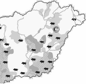 2. Producción de grano para forraje en la Llanura d) El territorio de producción de qué planta forrajera está marcado con la letra C y con gris claro en el mapa?