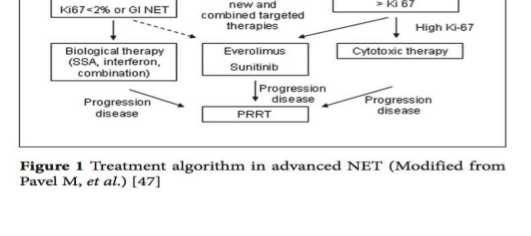 Neuroendokrin