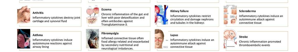 A lipoproteinek az intimában oxidált LDL-lé alakulnak.