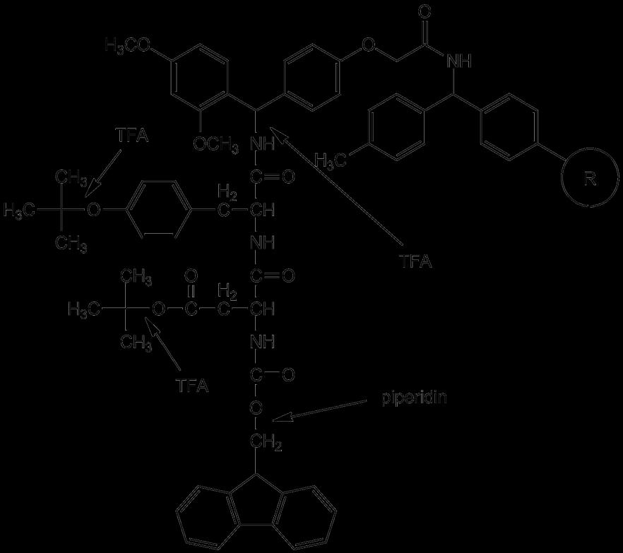 4.ábra Fmoc-Asp(O t Bu)-Tyr( t Bu) Rink Amid MBHA gyanta Kísérletek során igazolták, hogy a leghatékonyabb hasítóelegyként 2% piperidin és 2% 1,8-diazabiciklo[5,4,0]-undec-7-ént (DBU) tartalmazó DMF