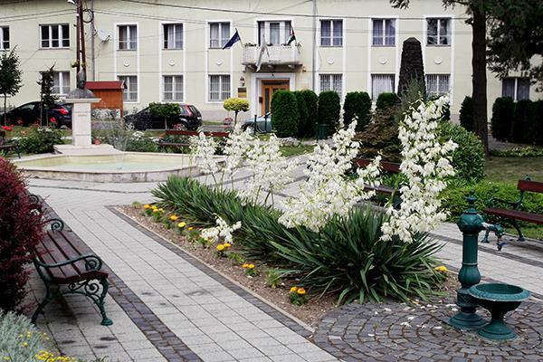 AZ ELLENŐRZÉS TERÜLETE Zalalövő Város Önkormányzata Zalalövő város Zala megyében fekszik, a lakónépességének száma 3027 fő *.