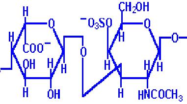 Hialuronsav Iduronát N-Ac-glükózamin Dermatán-szulfát Iduronát