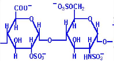 Kondroitin-szulfát glükuronát N-Ac-galaktózamin Heparin glükuronát/iduronát