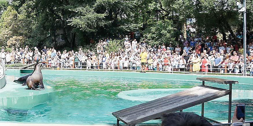 villamosenergia-iparban. 26 Tagszakszervezetünk Elnöke, Vezető Testületei, a Szakszervezeti Bizalmik minden igyekezetükkel azon dolgoznak, hogy érdekeinket érvényesítsék.