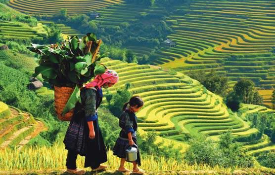Fakultatív hosszabbítási lehetôségek: Indokína Hazautazás: a menetrend függvényében utazás Da Nang-ból Ha Noi-ba a kora esti órákban, vagy a következô nap reggelén, majd innét Budapestre vagy Bécsbe.