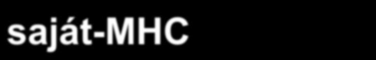 maturation, educational steps double recognition (MHC and peptide) Teljes repertoire: TCR α, β: 10 15 TCR γ,