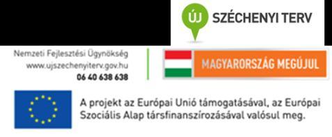 8. Köszönetnyilvánítás Elsőként köszönettel tartozom témavezetőmnek, Prof. Dr.