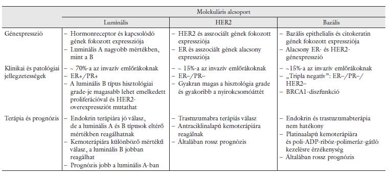 Molekuláris klasszifikáció