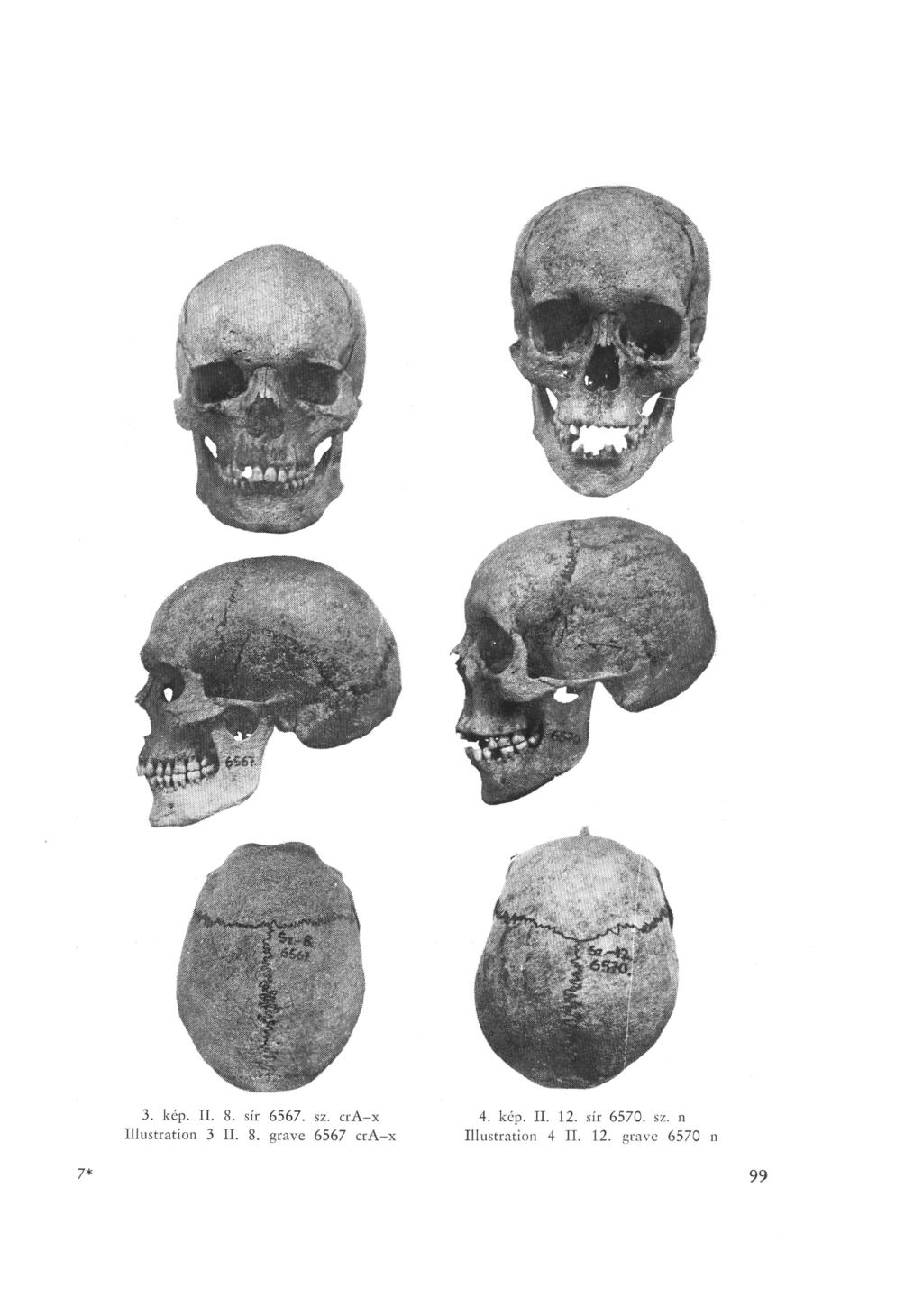 3. kép. П. 8. sír 6567. sz. cra-x Illustration 3 II. 8. grave 6567 cra-x 7* 4.