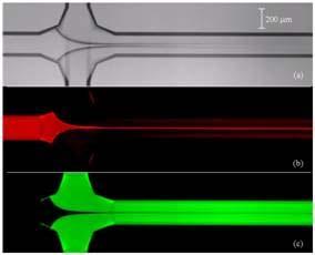 mikrofluidika különböző, nem keveredő folyadékok vagy