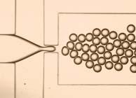 elválasztott áramlása Flow focusing geometry (MML)