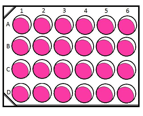 1. Steroidogenesis assay H295R sejtvonal ATRAZINE 2.