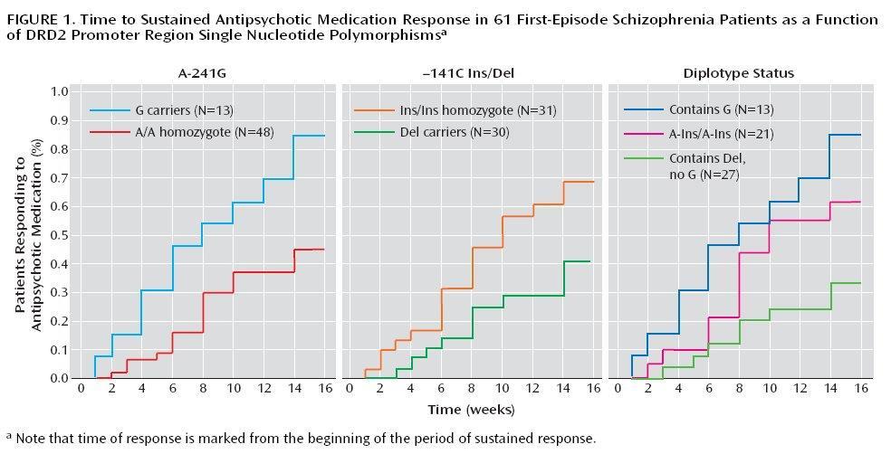AP hatásosság és DRD2 receptor SNP-k Lencz T, Robinson DG, Xu K, Ekholm J, Sevy S, Gunduz-Bruce H, Woerner MG, Kane JM, Goldman D, Malhotra AK., 2006.