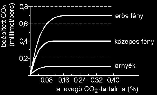 A következő ábrán valamely növényi szerv egy részének szövettani szerkezete látható, két különböző nagyításban. A két rajz nem feltétlenül azonos helyzetben mutatja a megfelelő részleteket.