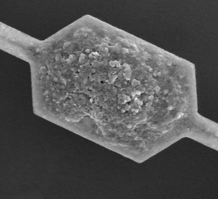 porous matrix activated by Pt (Al2O3 + kaolin).