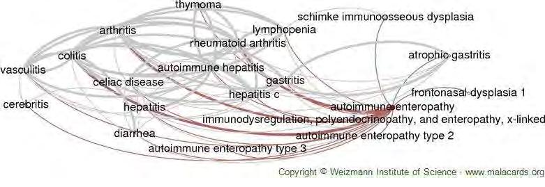 IPEX: Immun diszreguláció, polyendocrinopathia, enteropathia, X-hez kötött FOXP3 APECED: