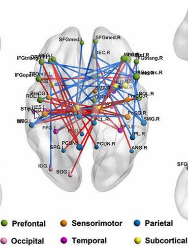 Thalamo-kortikális diszkonnektivitás és pszichopatológia Thalamus relay / átkapcsoló funkciója a felszálló pályák és a kéreg között, illetve vélhetően a különböző hálózatok között is A