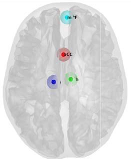 Thalamus-aCC konnektivitás és